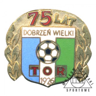 TOR DOBRZEŃ WIELKI