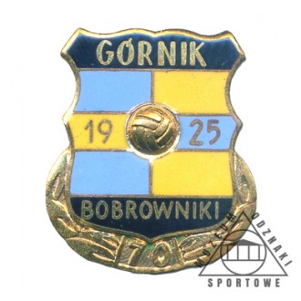 GÓRNIK BOBROWNIKI