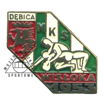 WISŁOKA DĘBICA