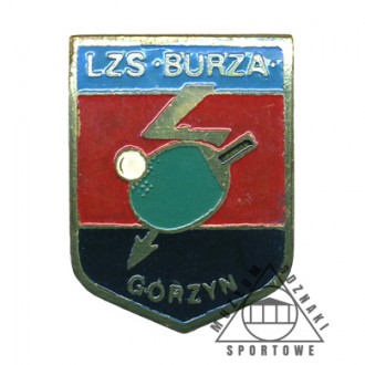 BURZA GÓRZYN