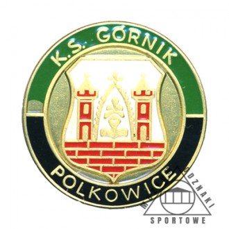 GÓRNIK POLKOWICE