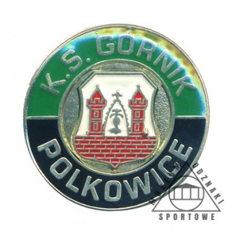 GÓRNIK POLKOWICE