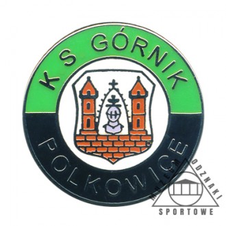 GÓRNIK POLKOWICE