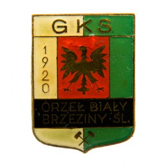 ORZEŁ BIAŁY BRZEZINY ŚLĄSKIE