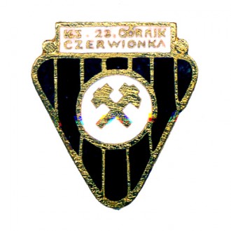 GÓRNIK CZERWIONKA