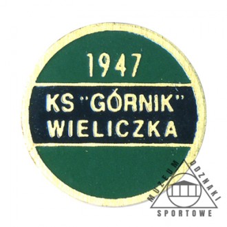 GÓRNIK WIELICZKA