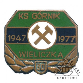 GÓRNIK WIELICZKA