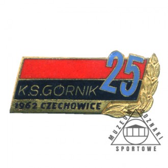 GÓRNIK CZECHOWICE