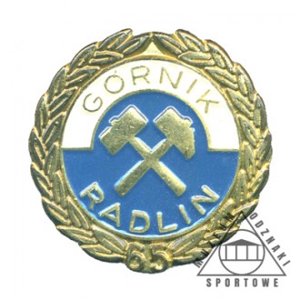 GÓRNIK RADLIN