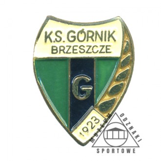 GÓRNIK BRZESZCZE