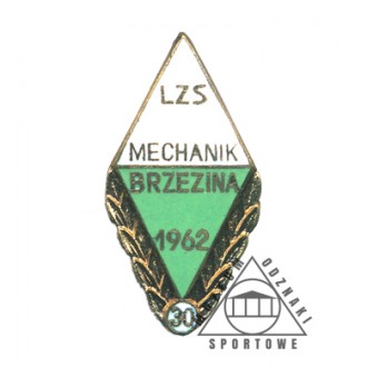 MECHANIK BRZEZINA