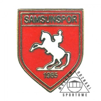 SAMSUNSPOR