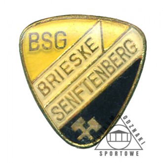 BRIESKE SENFTENBERG