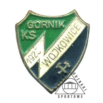 GÓRNIK WOJKOWICE