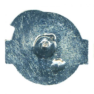 WISŁA PŁOCK