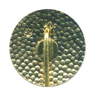 POLONIA BYDGOSZCZ