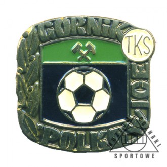 GÓRNIK POLKOWICE