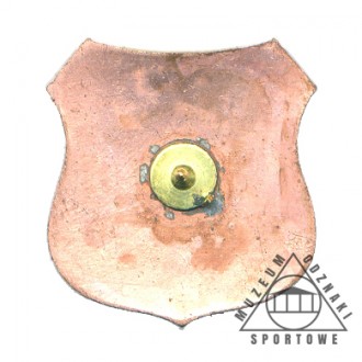 DIAMENT TRZEBIELINO