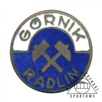 GÓRNIK RADLIN